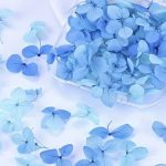 Сухоцвіти, поталь,  ракушка, блискітки